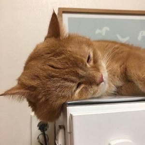 性一交一伦一伦一视频
